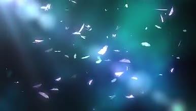 飞舞的蓝色蝴蝶带透明通道视频的预览图
